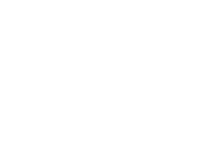 GEËXPORTEERD
NAAR SPANJE