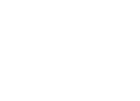 GEËXPORTEERD
NAAR BELGIË